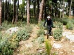 DSC04855 - copia.JPG