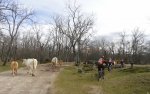DSC04857 - copia.JPG