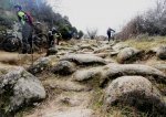 DSC04871.JPG