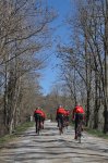 Bianche_back-big.jpg