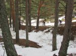 IMG_0056.JPG