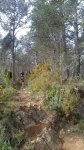 DSC_1820.jpg