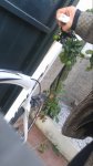20150212_160558.jpg