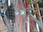 BTT TANGE (10).jpg