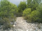 IMAG0250.JPG