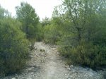 IMAG0252.JPG