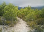 IMAG0256.JPG