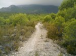 IMAG0257.JPG