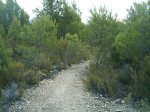 IMAG0258.JPG