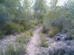 IMAG0267.JPG