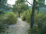 IMAG0270.JPG