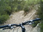 IMAG0279.JPG