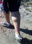 29-07-07_1109.jpg