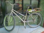 bici.jpg