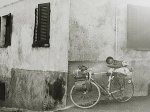 bici84.jpg