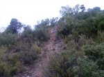 Imagen050AS.jpg