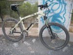 bici-6 (Large).jpg