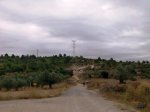 Imagen076asd.jpg