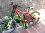 canvis iron horse 019 (Medium).jpg