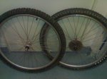 10082007305.jpg