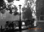 DSCN2700 (Large).JPG