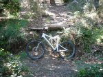 DSC01205_redimensionar.JPG