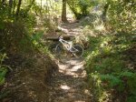 DSC01206_redimensionar.JPG