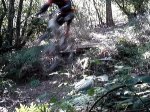 air.jpg