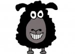 oveja negra.jpg