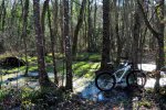 DSC_5735.JPG