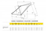 gt_zaskar_carbon_29_expert_geometria-1.jpg