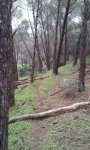 20150214_175746.jpg