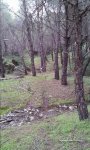 20150214_180719.jpg