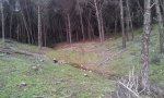 20150214_181310.jpg