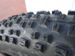 scha002.jpg