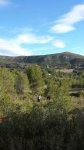 IMG-20150125-WA0026.jpg