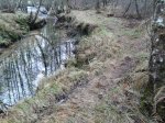 20150214_110659.jpg