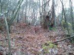 20150214_122047.jpg