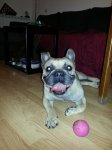 20140417_003243.jpg