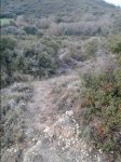 20150221_102047.jpg