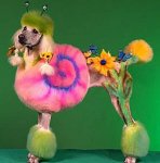 poodlepower.jpg