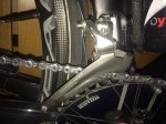 image13.jpeg