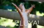 Aleluya-Ardilla-710x455.jpg
