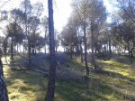 20150222_100445.jpg