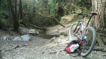 DSC_0013.jpg