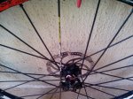 IMG_20150223_165944.jpg