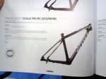 scale650b-5.jpg