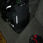 orca6.jpg