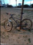 image1.jpeg