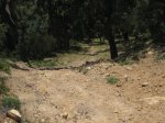 IMG_0545.JPG